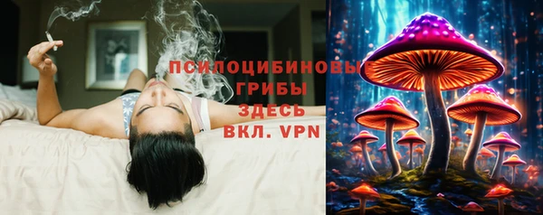 дмт Верхний Тагил